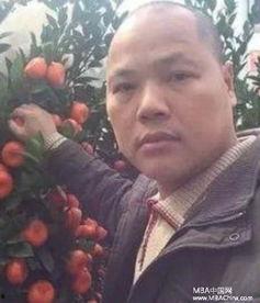 娱乐吃瓜橘子哥,娱乐吃瓜界的风云人物